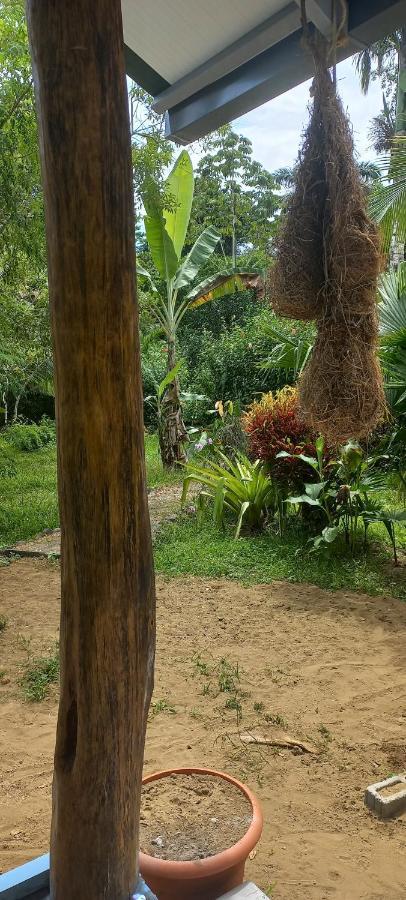 Casa Katharina Villa Cahuita Buitenkant foto